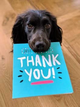 Thank you in Spanish